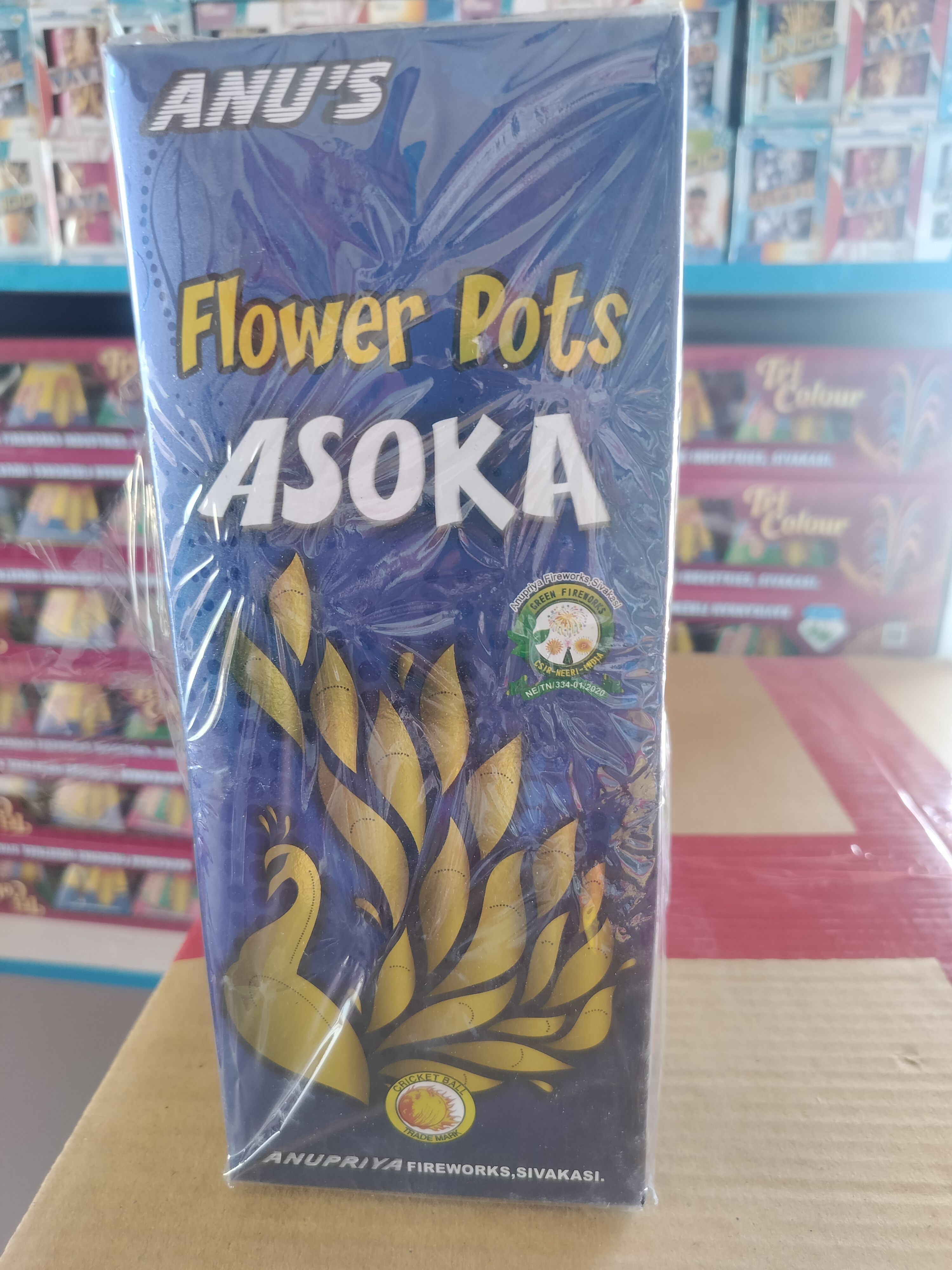 Ashoka flower pot 